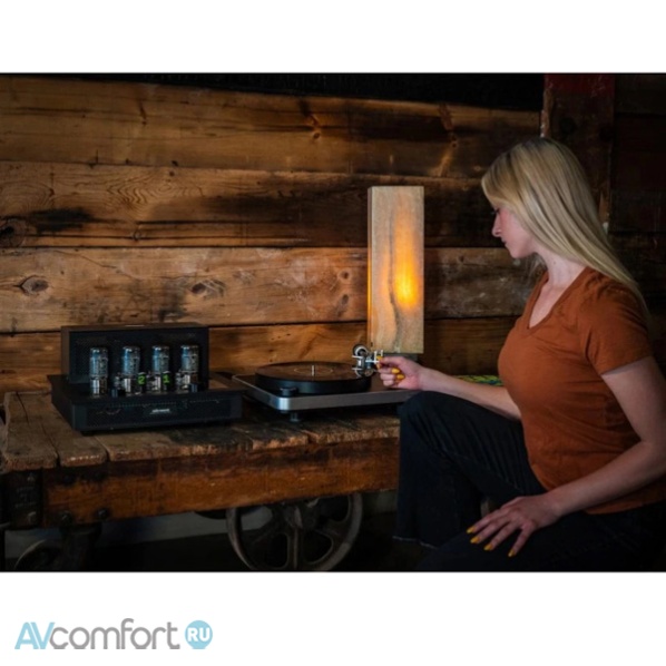 Audio Research I/50 Gold/Black