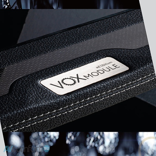 VOXMODULE Cardinale bm - skin 4 module