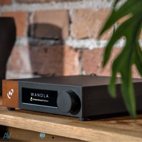 Ferrum Audio Wandla GoldenSound Edition