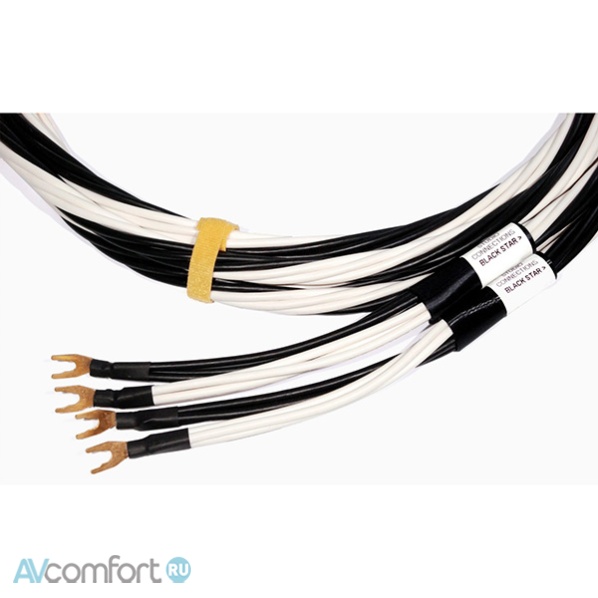 AVComfort, Studio Connections Black Star SP Banana 3.0 m