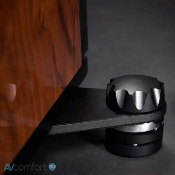 Raidho Acoustics TD3.10 Black