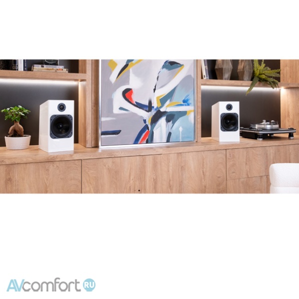 TOTEM ACOUSTIC Element Fire v2 Ice