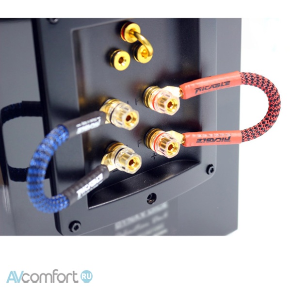 Ricable Invictus Bridge Reference (Spade to Spade) Ricable Invictus Bridge Reference (Spade to Spade)