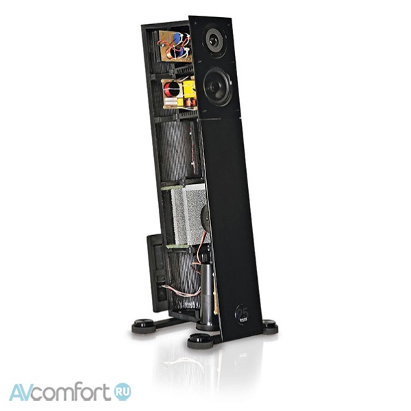 Audio Physic Virgo 25 Plus Natural Oak