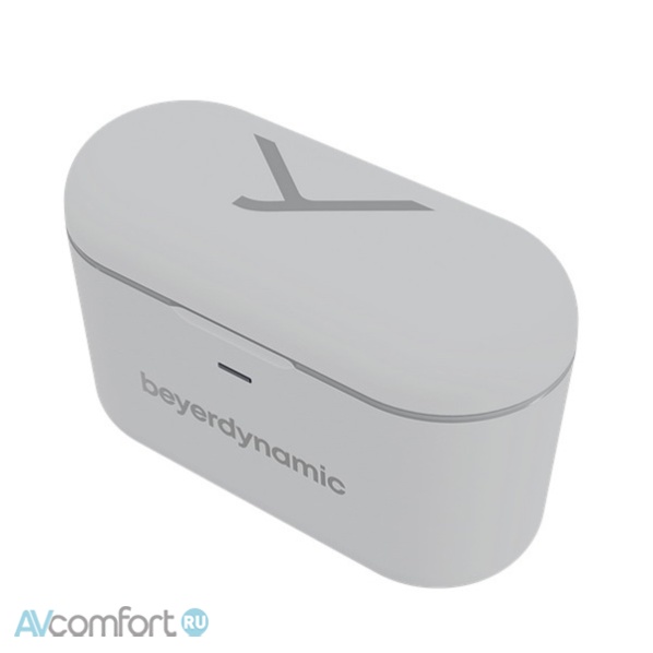 Beyerdynamic Free Bird Grey