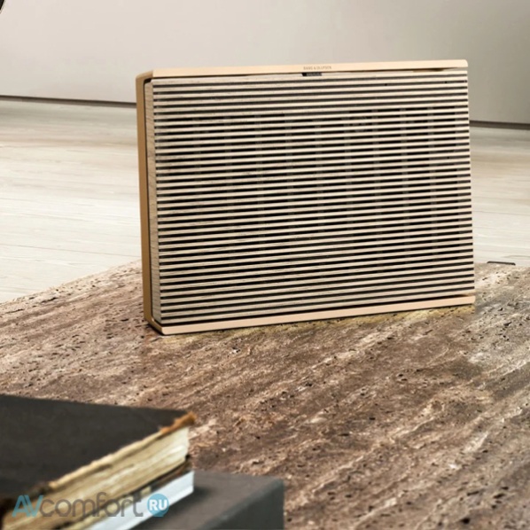 Bang & Olufsen Beosound Level Gold Tone