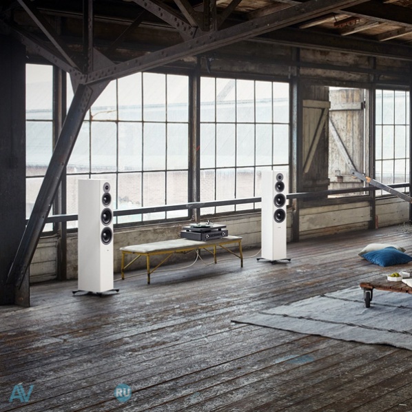 Dynaudio Evoke 50 Blonde