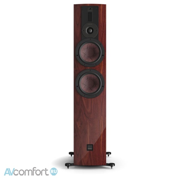 DALI Rubikore 6 Maroon High Gloss