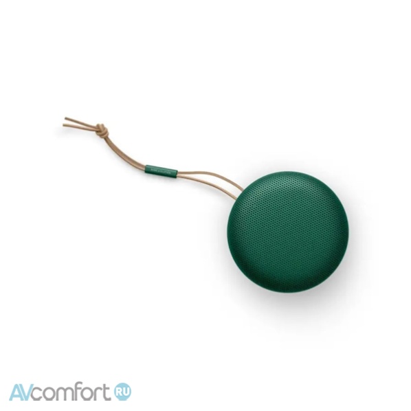 BANG & OLUFSEN Beosound A1 2nd Gen Green