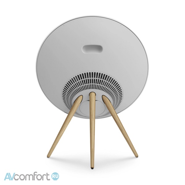 BANG & OLUFSEN Beosound A9 5th Gen Natural Aluminium