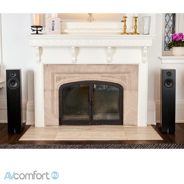TOTEM ACOUSTIC Bison Tower Black Ash