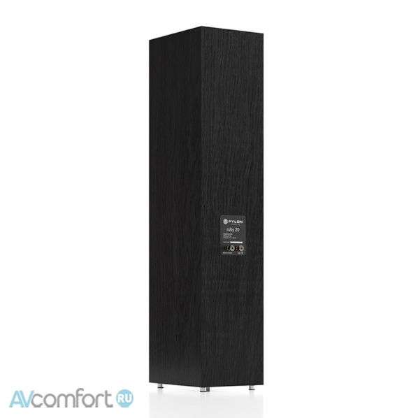 Pylon Audio Ruby 20 Black