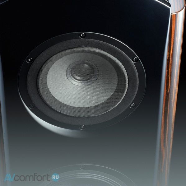 TAD Evolution One Piano Black