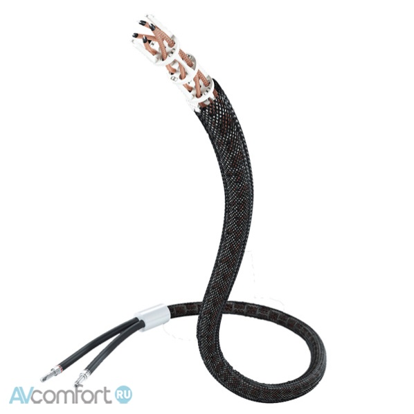 AVComfort, INAKUSTIK Referenz LS-1204 AIR, 2x3.0 m, BFA Banana