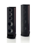 T+A Criterion TCD 110 S Macassar Ebony