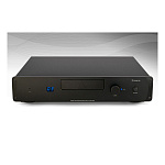 LEEMA ACOUSTICS Stream Black