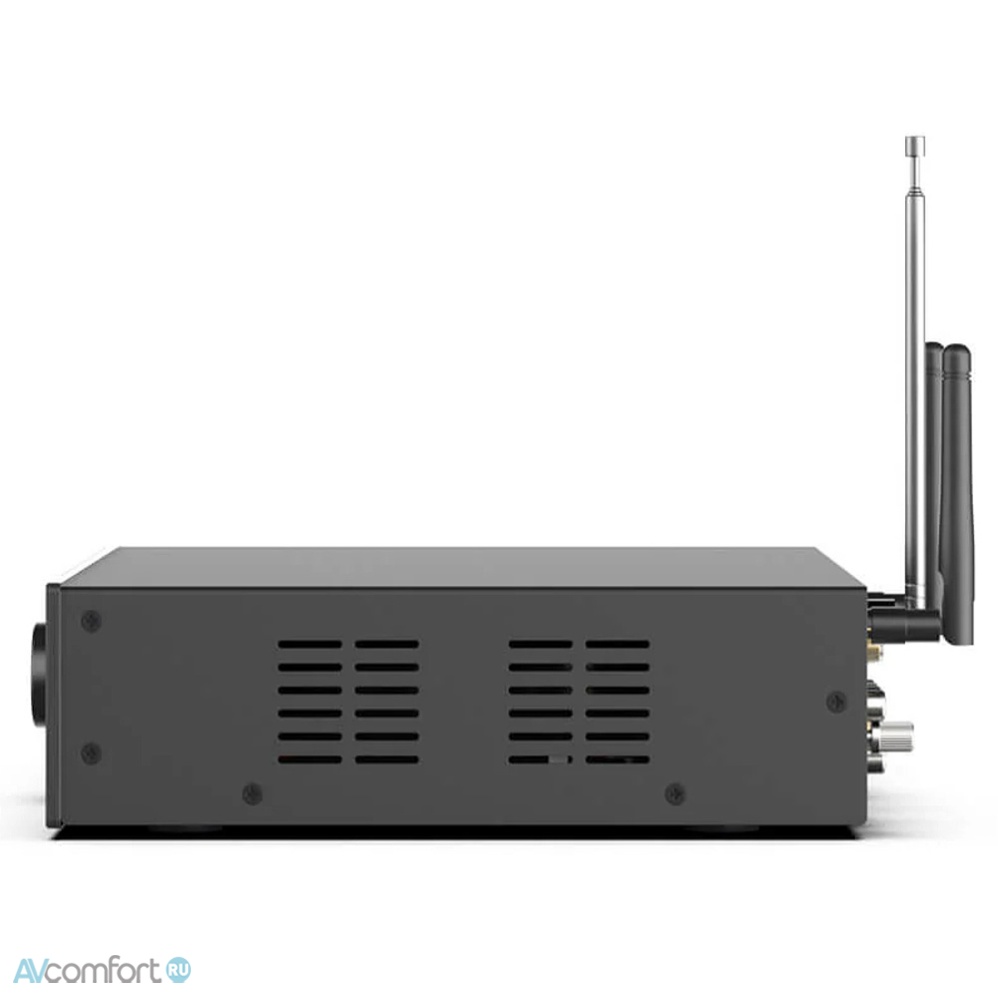 Arylic A100