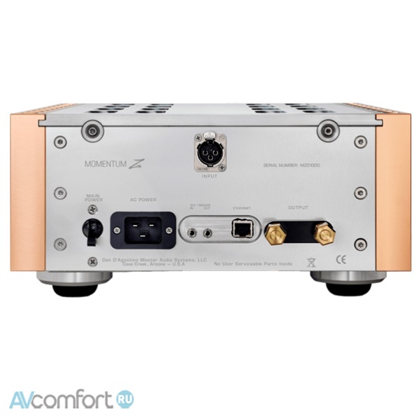 Dan D’Agostino Momentum Z Monaural Amplifier Black