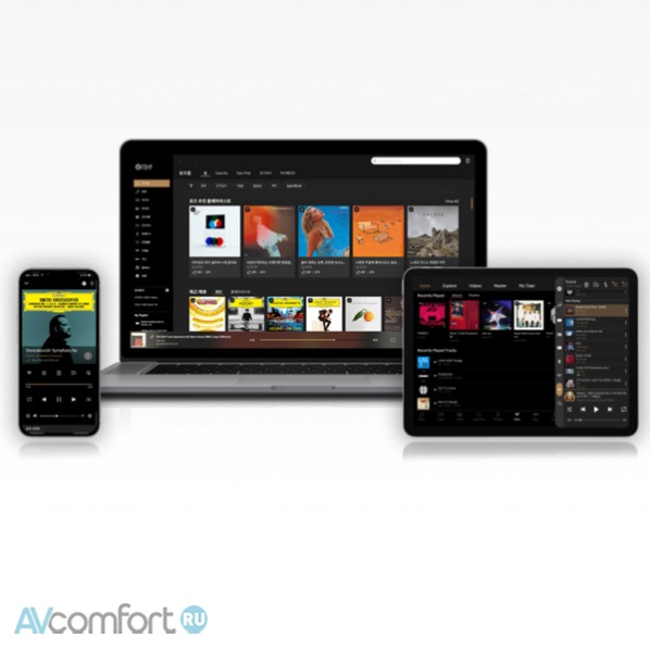 HiFi Rose RS451 Silver