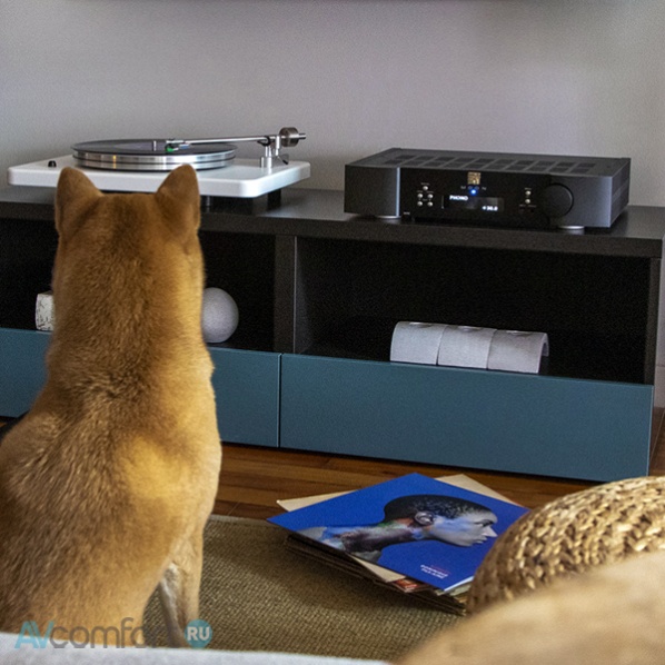 Moon by Simaudio ACE Black