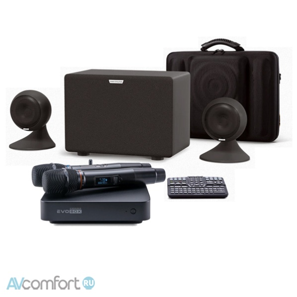 AVComfort, EVOLUTION Evobox Plus со стереосистемой Graphite