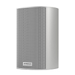 Piega Ace 30 Wireless RX Silver