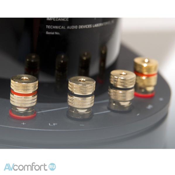 TAD Evolution One Piano Walnut