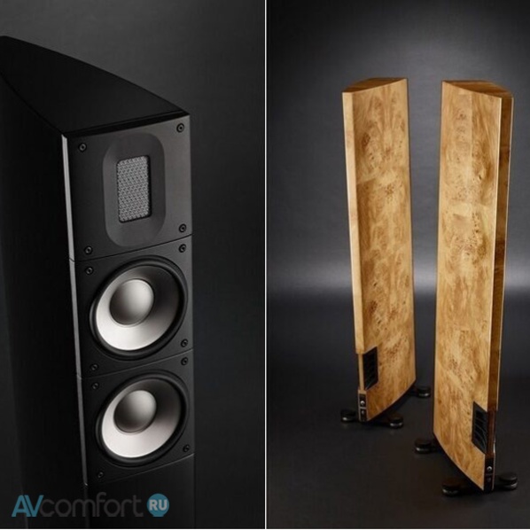 Raidho Acoustics X2T Maple Burl