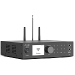 Arylic A100