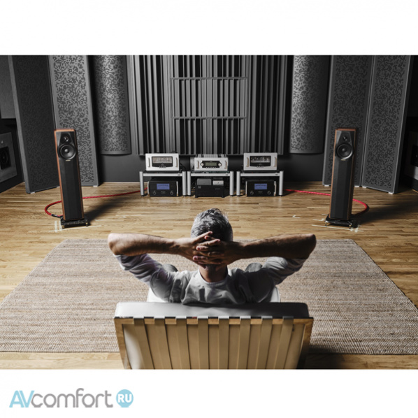 SONUS FABER Maxima Amator III Walnut