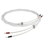 CHORD COMPANY Sarum T Super ARAY Speaker Cable 1.5 m