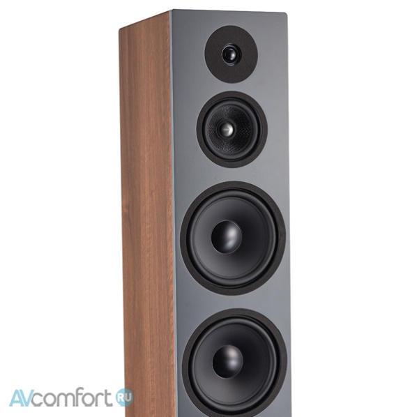 Davis Acoustics Krypton 10 Classik Walnut