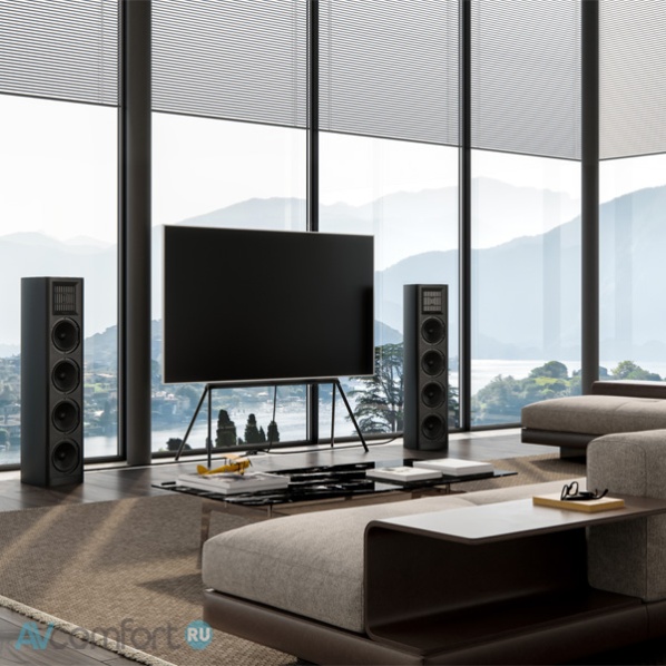 Piega Coax 811 Silver