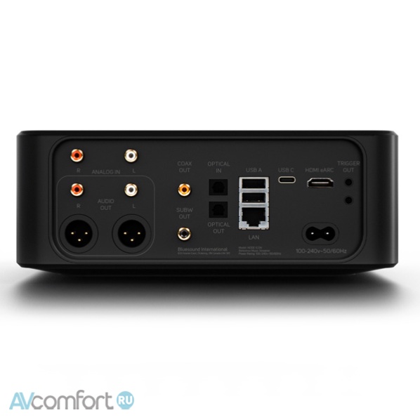 Bluesound Node Icon (N530)