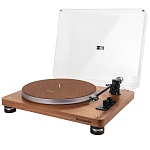 Phaze Audio Celine Walnut