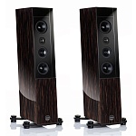 AUDIO PHYSIC Cardeas Black Ebony