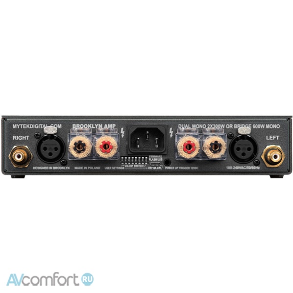 Mytek Brooklyn AMP Silver