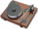 PRO-JECT X-tension-10 Evolution Mahogany