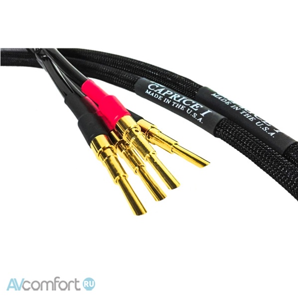 AVComfort, TARA Labs The Caprice I w/BSM 2,4 m