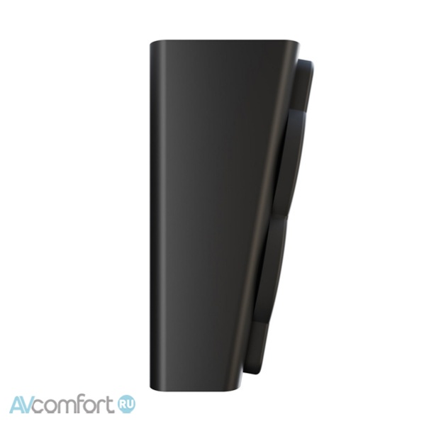 Perlisten Audio A2s Black Matte