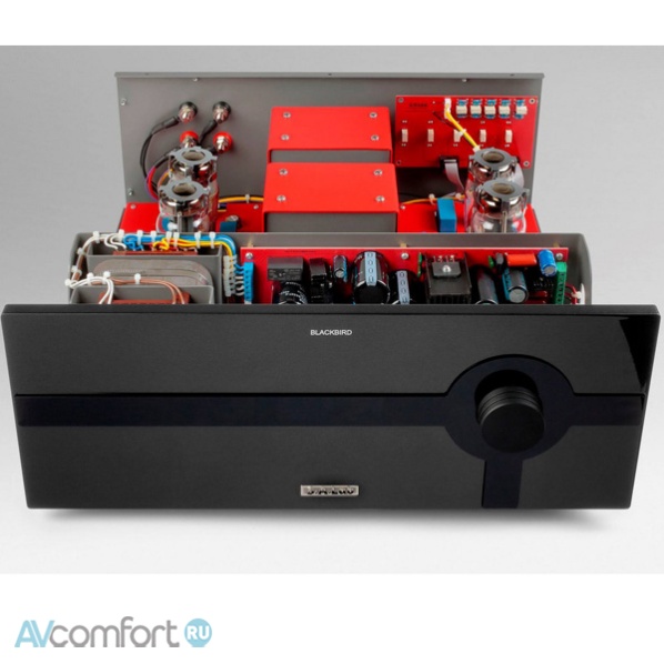 S.A.Lab Blackbird MkII