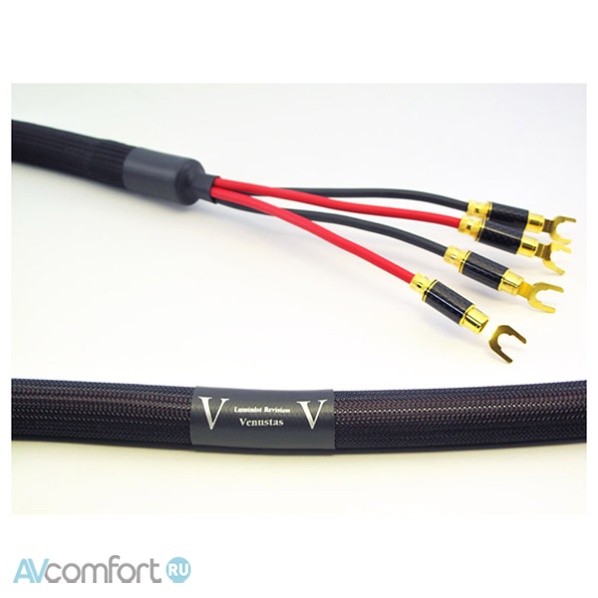 AVComfort, Purist Audio Design Venustas Speaker BW Luminist Revision 2,5 m