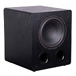 Tone Winner SW-D1000