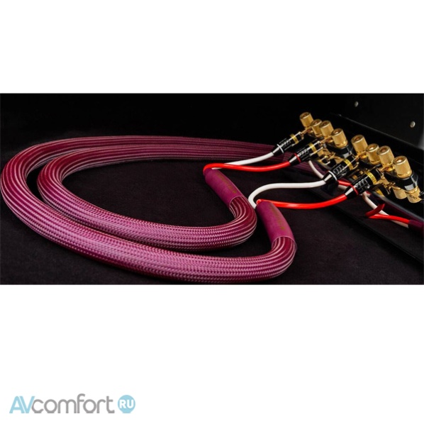 Tchernov Cable Classic MkIII SC Sp/Bn 1,65 m