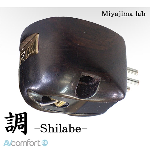 Miyajima Laboratory Shilabe Miyajima Laboratory Shilabe