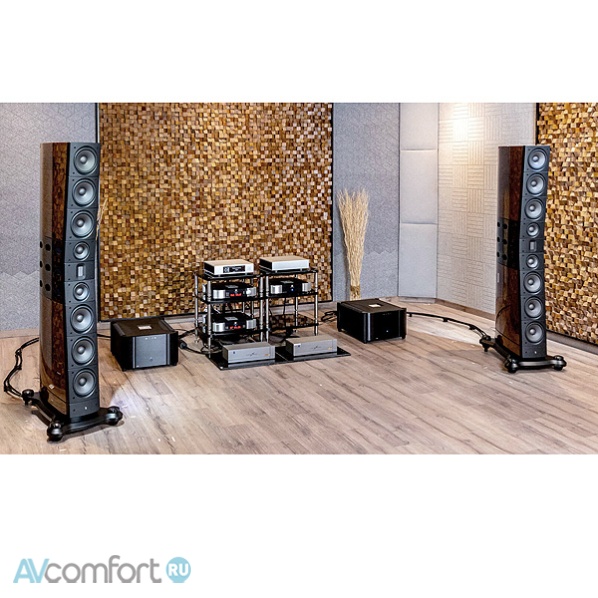 Raidho Acoustics TD6 Walnut