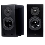Totem Acoustic Kin Play Black Satin Totem Acoustic Kin Play Black Satin