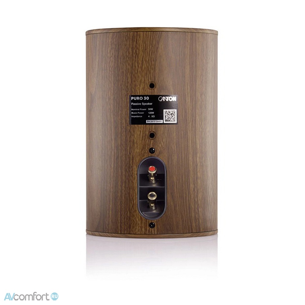 Canton Puro 30 Walnut