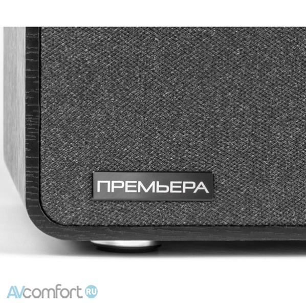 Premiera ES-422A Black