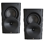 Perlisten Audio A2s Black Matte